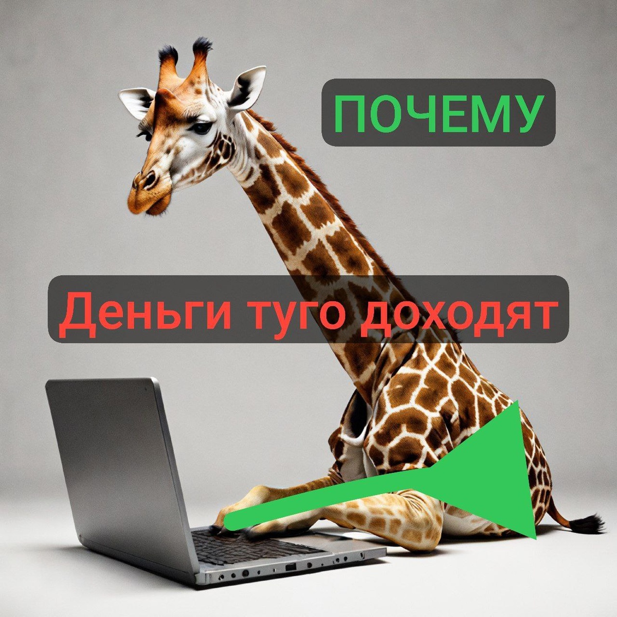 Доход доходит как до жирафа? Денег надо сейчас, а не сидеть и ждать еще 3 года