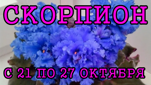 СКОРПИОН таро прогноз на неделю с 21 по 27 ОКТЯБРЯ 2024 года.