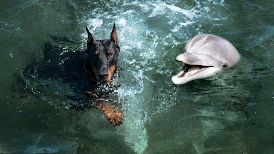 Фото из открытых источников. 