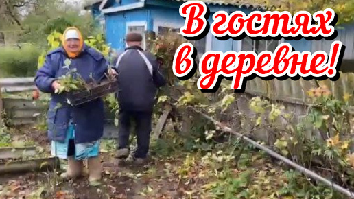 Descargar video: Вот так сюрприз. В гостях в деревне. Уже не хочется, а надо! Жизнь семьи в деревне.