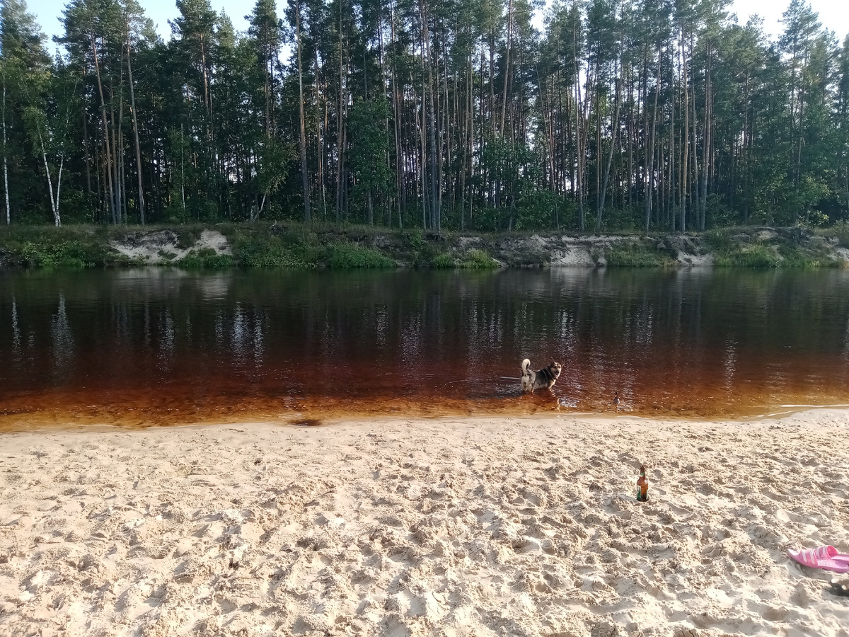 Пляж на Керженце. Грета ожидает сплав.