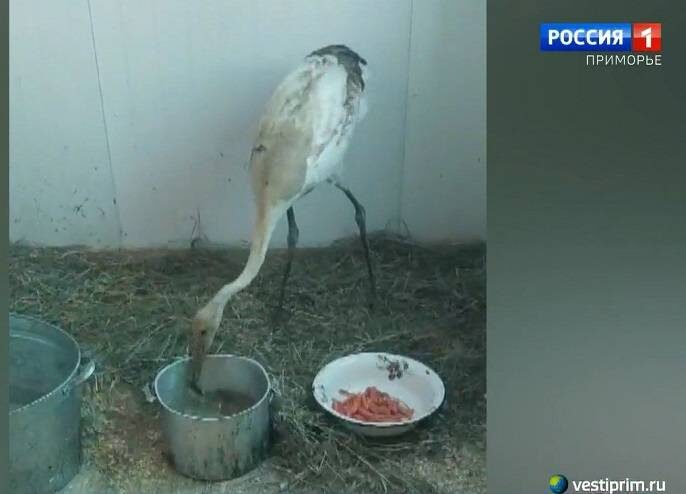    Источник фото:
