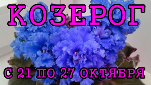 КОЗЕРОГ таро прогноз на неделю с 21 по 27 ОКТЯБРЯ 2024 года.