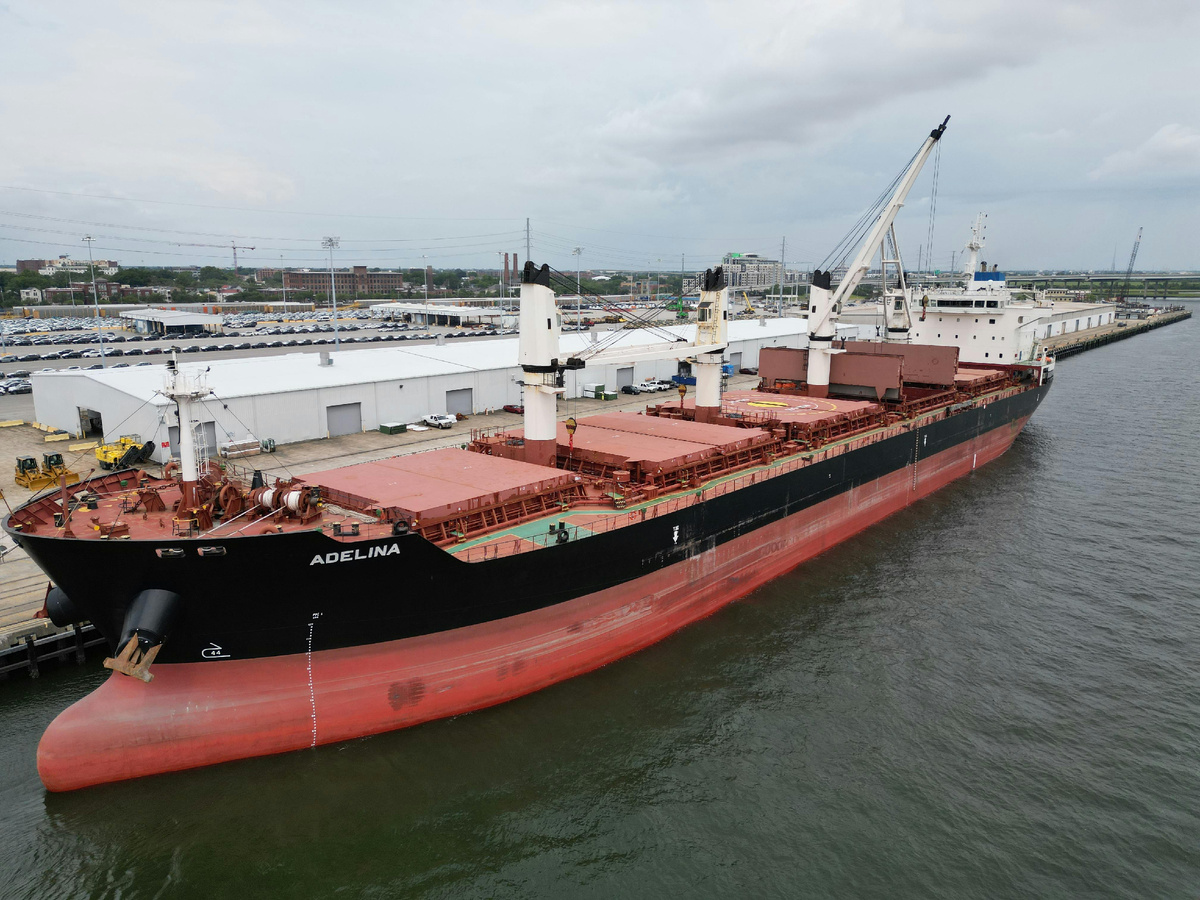 Фотограф: Jaxon Matthew Willis: https://www.pexels.com/ru-ru/photo/12485584/