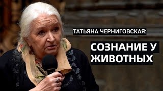 Мозг и наука. Есть ли сознание у животных? Вопросы и ответы. Татьяна Черниговская. Сознание у животных.