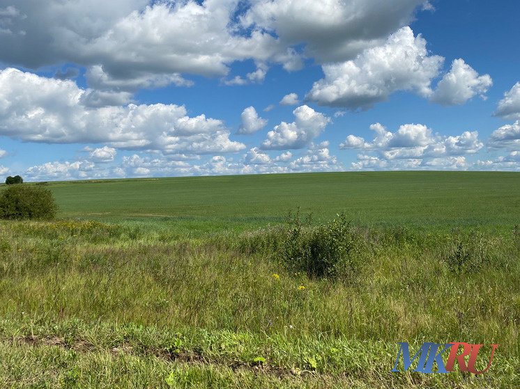    Фото: "МК в Калуге"