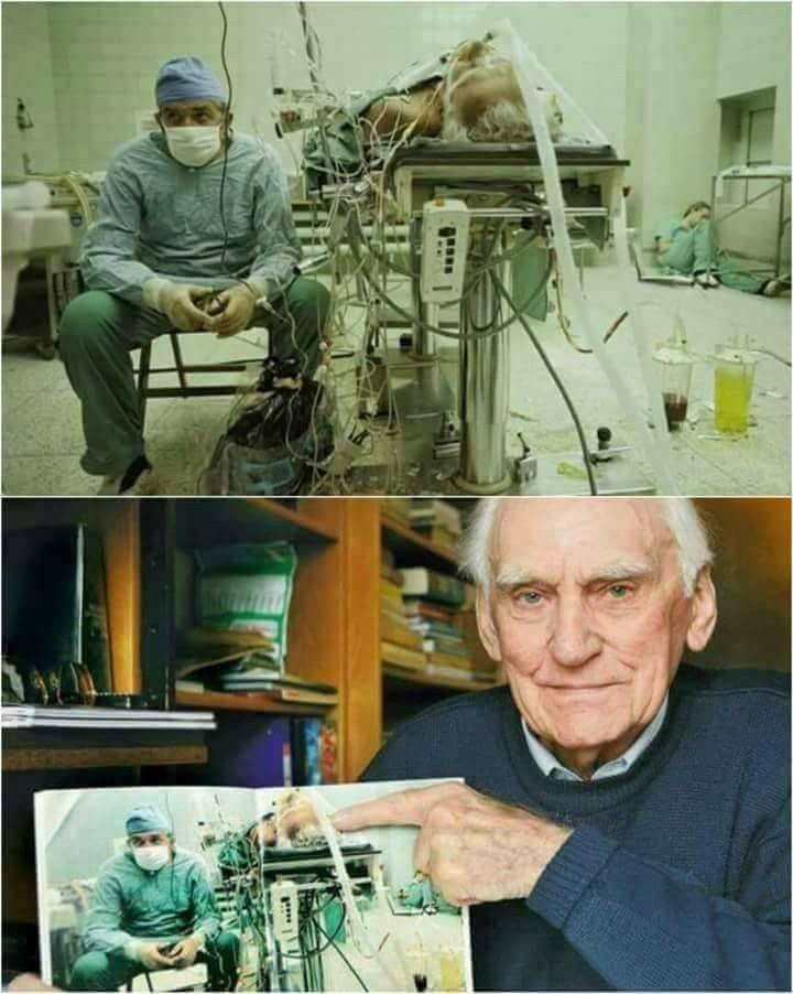 Источник: pinimg.com