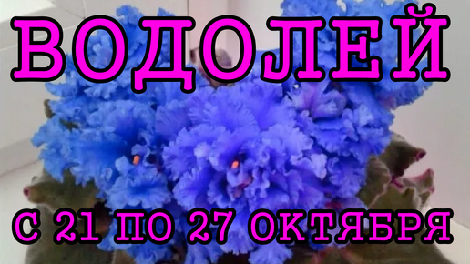 ВОДОЛЕЙ таро прогноз на неделю с 21 по 27 ОКТЯБРЯ 2024 года.