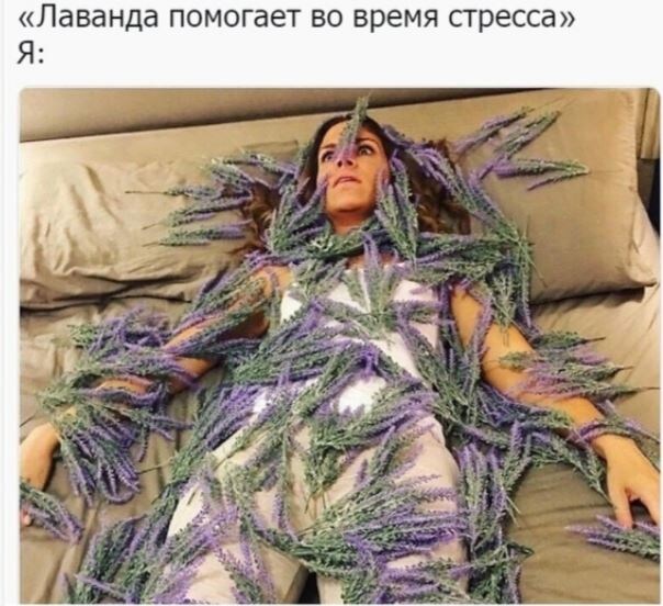 Помогаю себе лавандой! 
