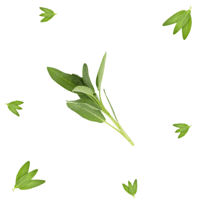 Мистер Шалфейкин - чистит всё налево и направо 