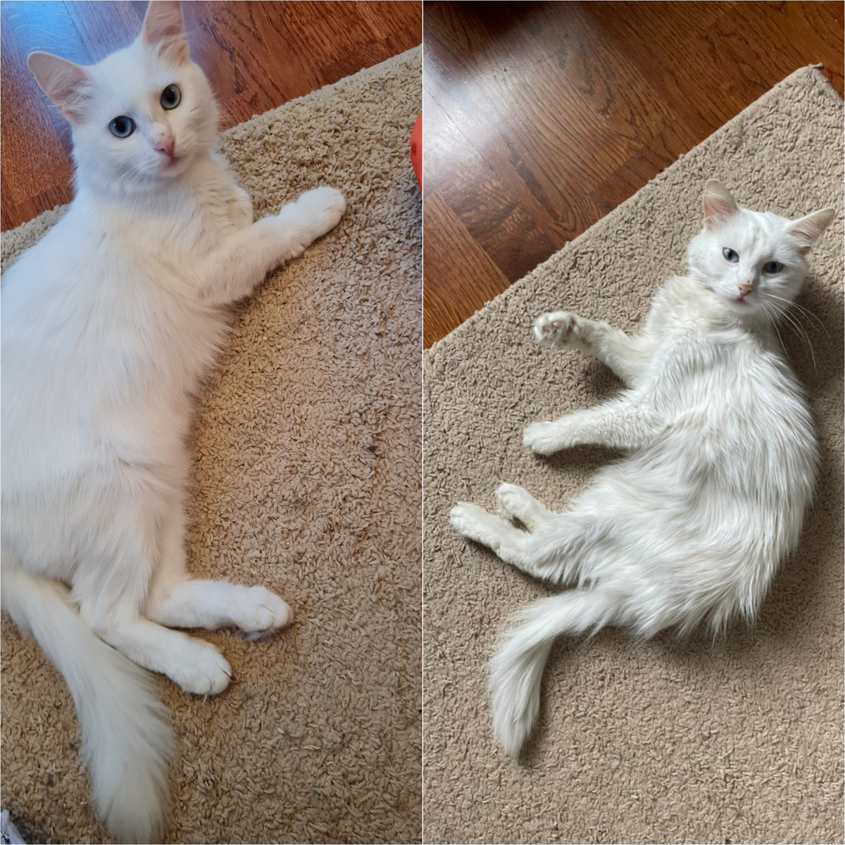 Фото автора Л. Баевой