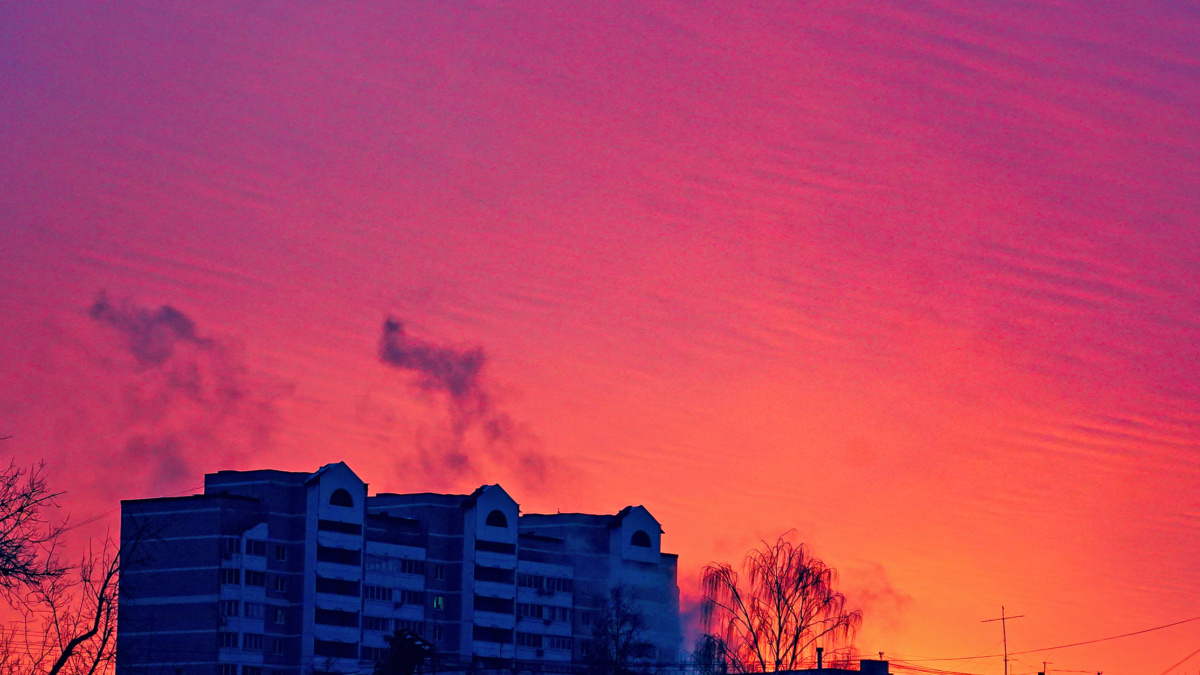 Светлана Мулыкина📷
