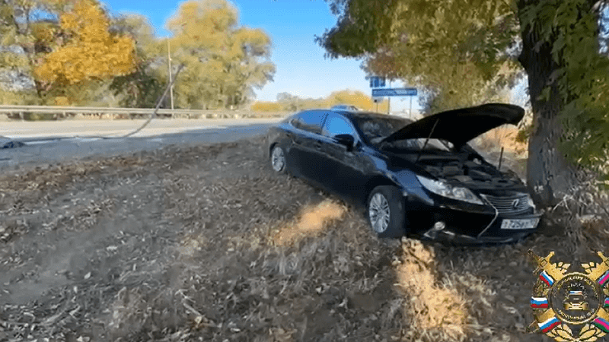    Фото t.me/gibdd123region