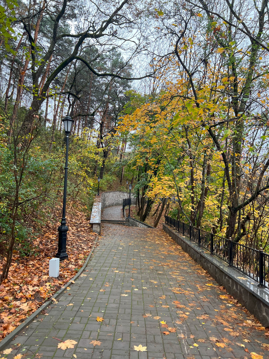 какая потрясающая золотая осень! Одно удовольствие гулять по парку.