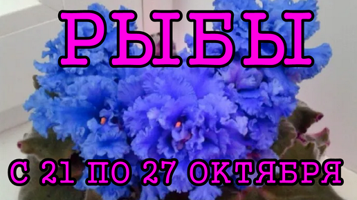 РЫБЫ таро прогноз на неделю с 21 по 27 ОКТЯБРЯ 2024 года.