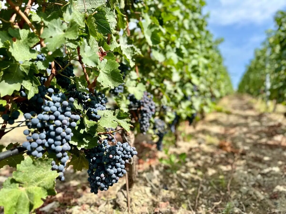     © "Интерфакс". Марина Иванова