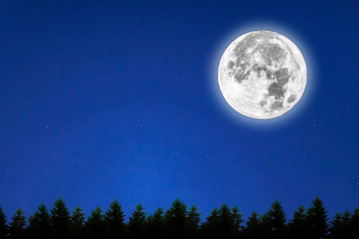    Фото: FTL Photography Agents / Shutterstock.com