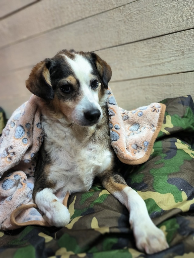 Маленькое чудо