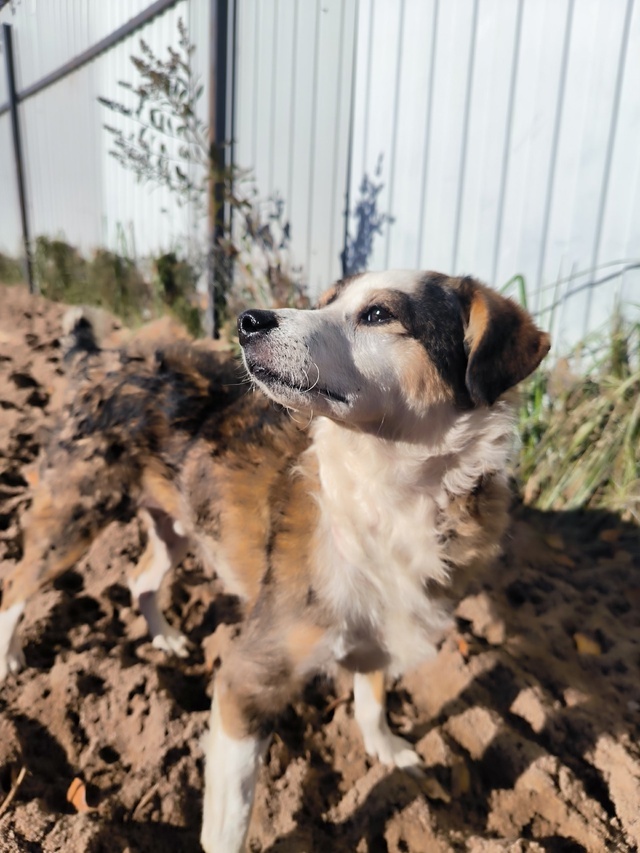 Солнечный мальчик