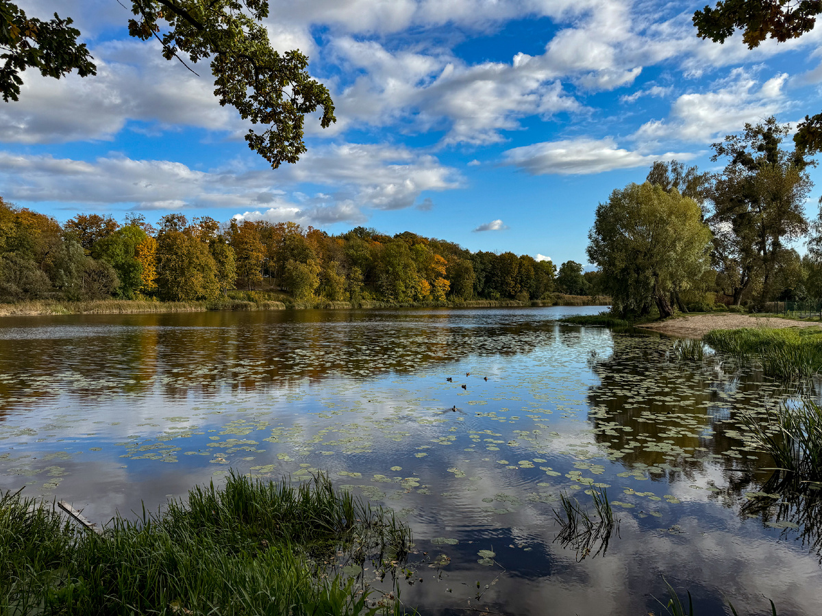 пос. Железнодорожный, Калининградская область. Вид на водоём. Фото Берега Балтики