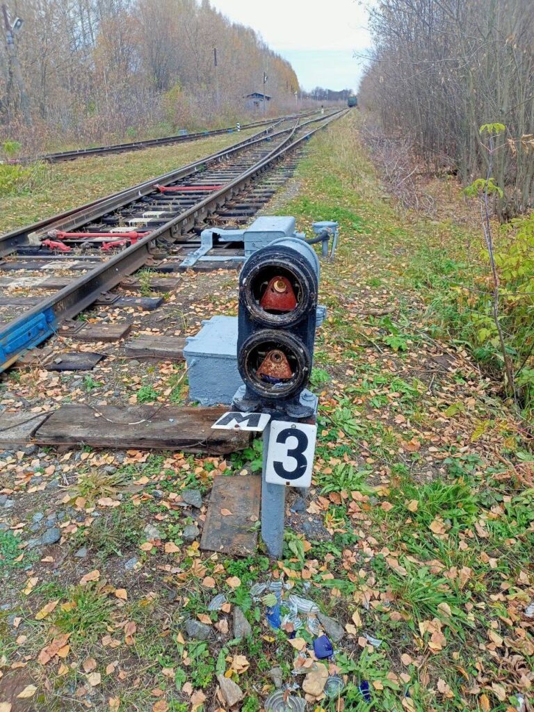    Фото: ЛО МВД на транспорте по Пермскому краю Алена Калашникова