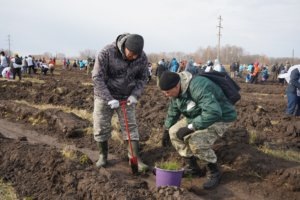    Фото: пресс-служба Минприроды Новосибирской области
