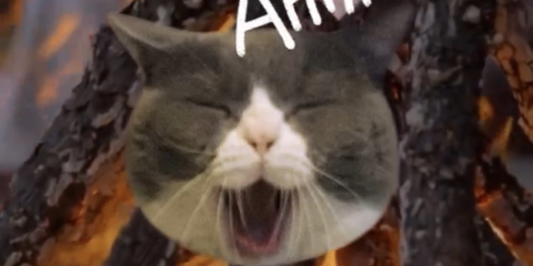 Шокирующие факты об отдыхе Павла Воли и Ляйсан Утяшевой