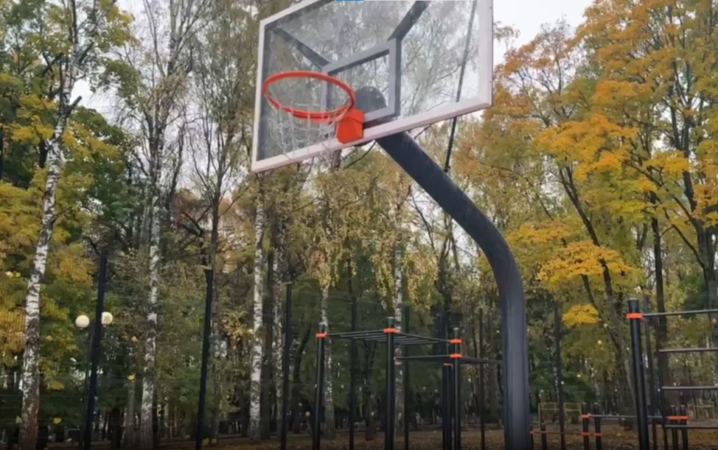 Фото: телеграм-канал "Дмитрий Наумов. Официально"