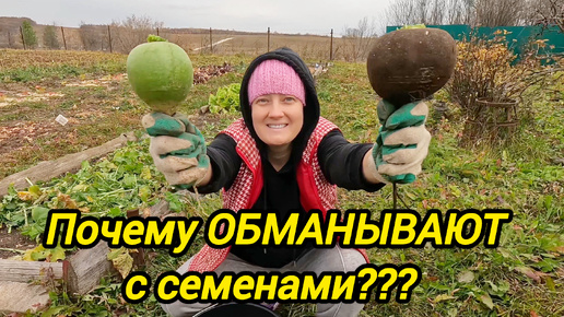 ПОЧЕМУ ОБМАНЫВАЮТ С СЕМЕНАМИ | Снова копаем | Дом в деревне | Семья в селе