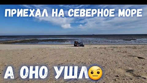 #72 Съездил на северное море / сходил в зоопарк