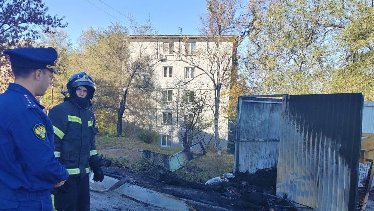     Источник: prosecutor_pk