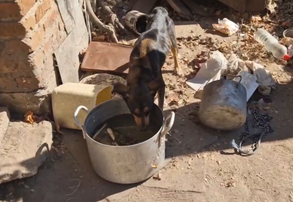 Фото сделаны донецкими волонтерами