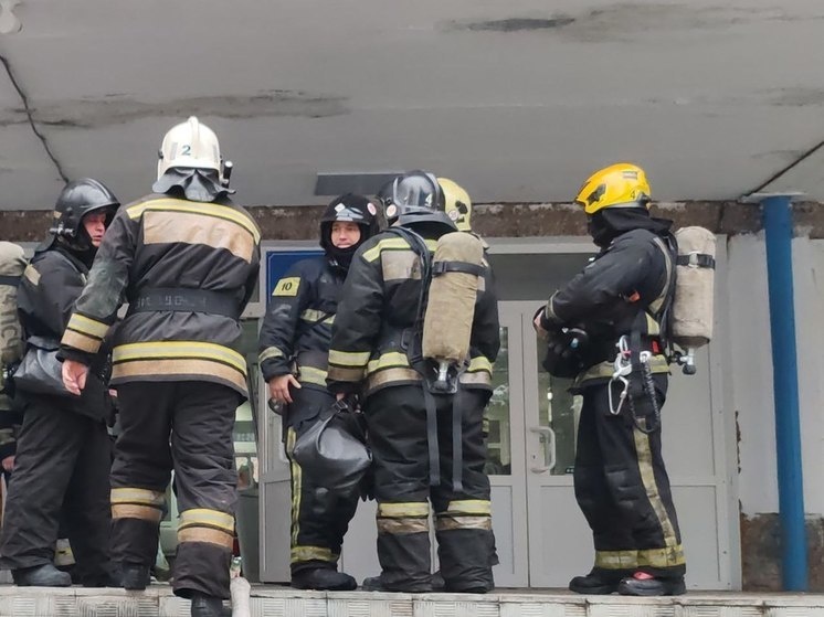     Фото: МЧС России по Алтайскому краю