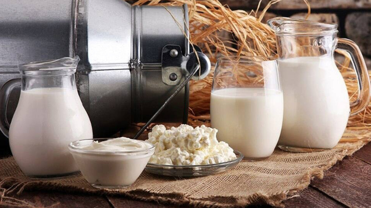 Молоко и молочные продукты
