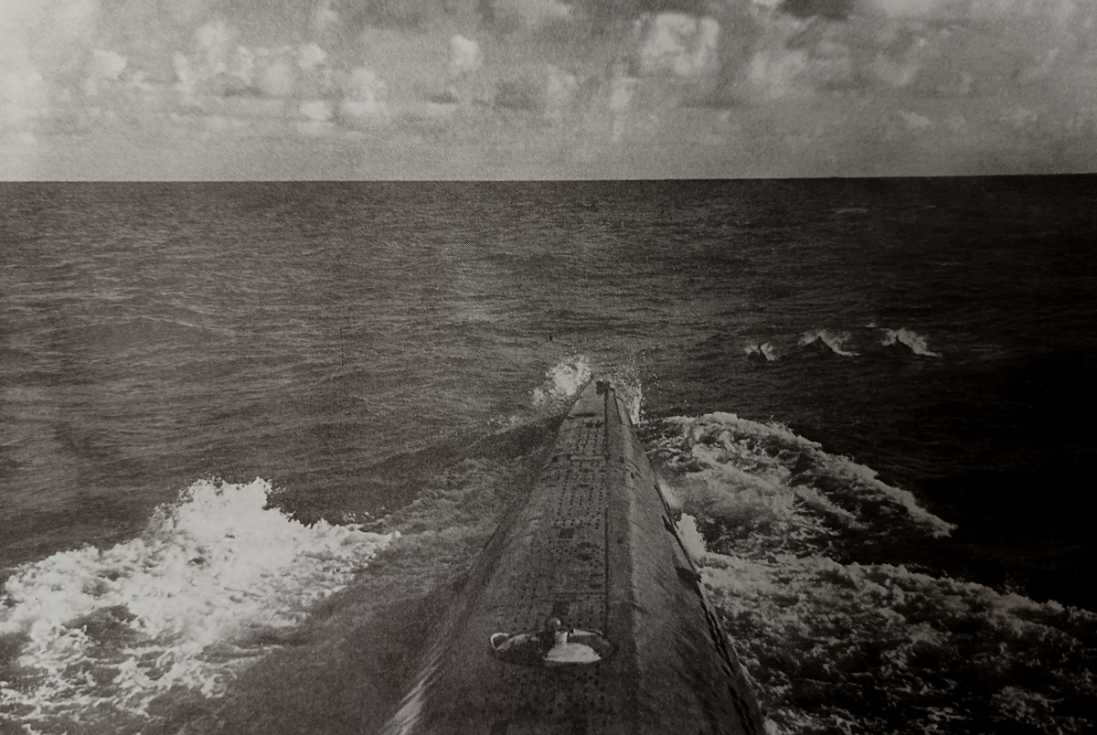 Впереди океан