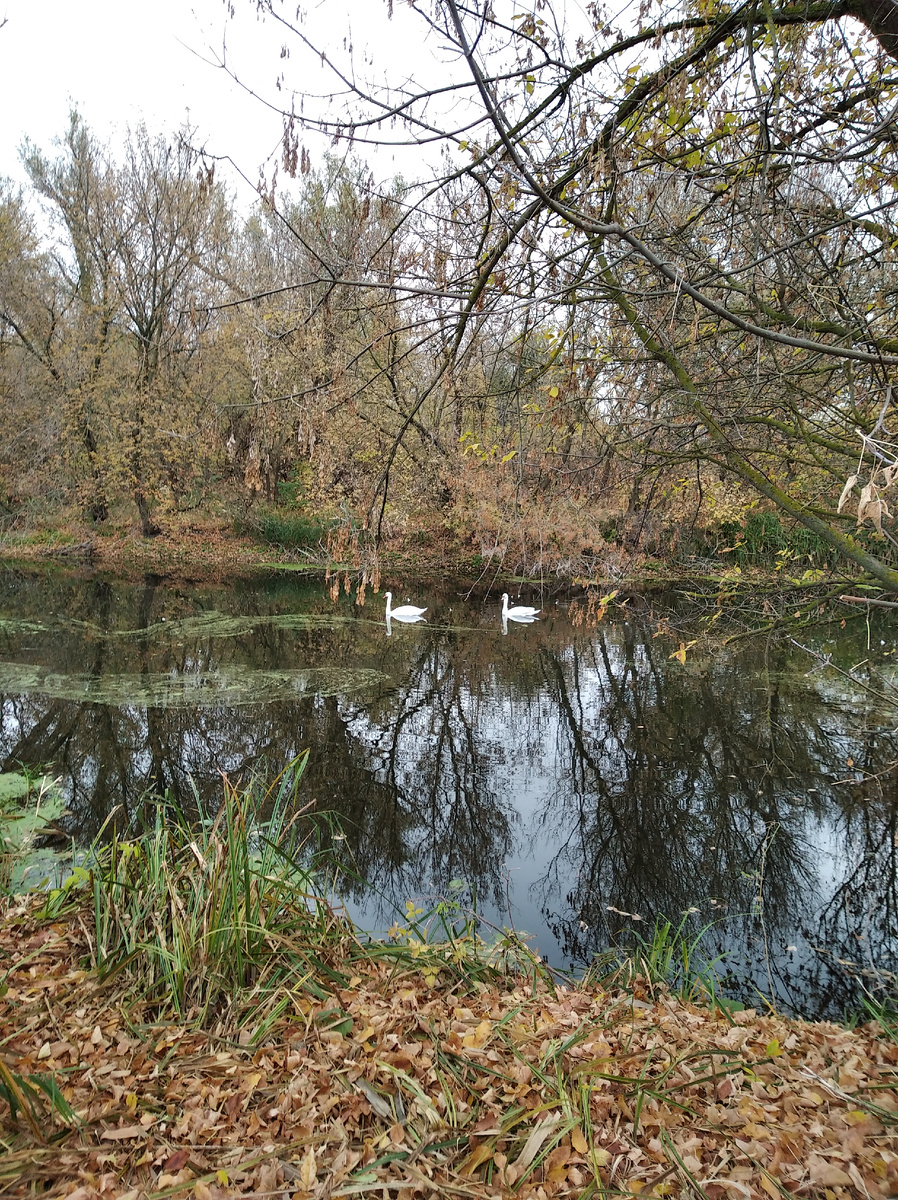 Личные фото.