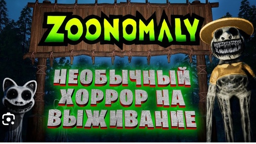 Прохожу Zoomanaly