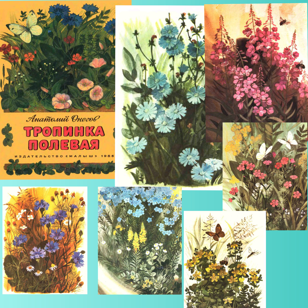 Обложка и иллюстрации из книги А. Онегова