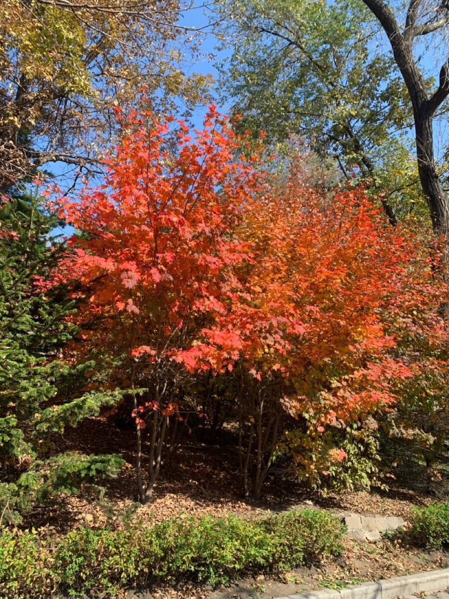 Фотографии автора 