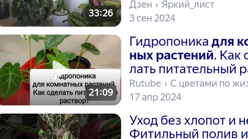 Моё видео, размещённое на Рутубе без моего разрешения