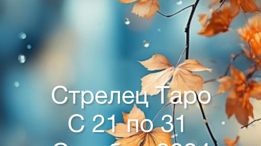 СТРЕЛЕЦ Таро с 21 по 31 Октября 2024