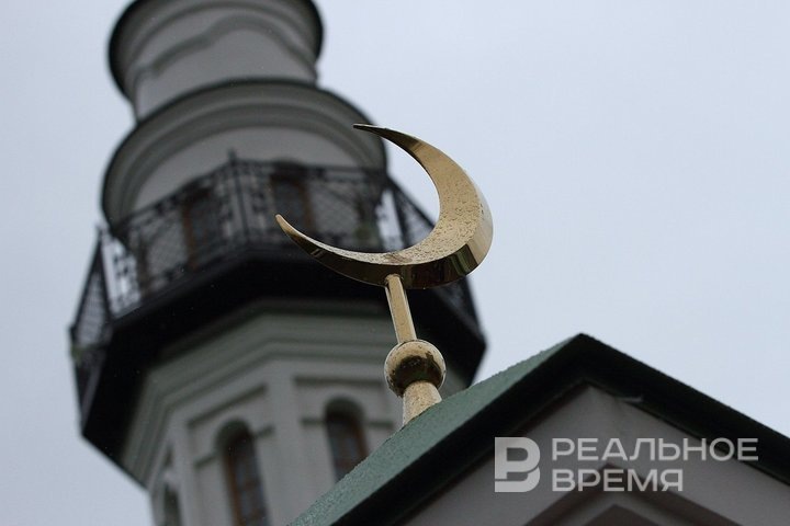 Фото: Михаил Захаров