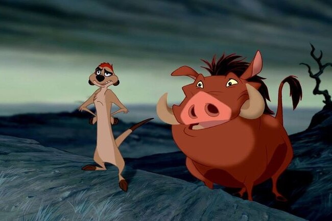     Тимон и Пумба существуют: посетители заповедника сняли на видео необычных друзей