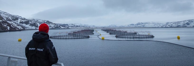 Источник: inarctica.com