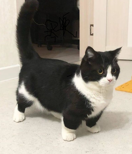 Мой морда увидеть что то страшный в 5 годов.