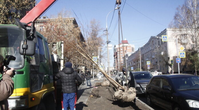    Фото пресс-центра мэрии города Новосибирска