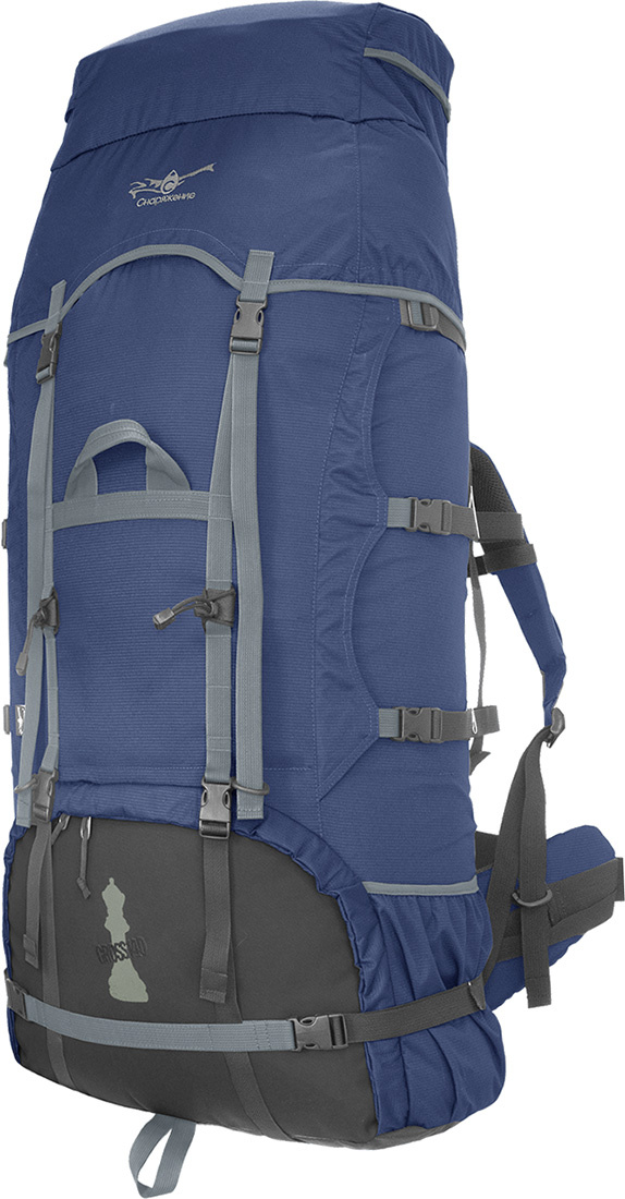 Гроссмейстер 100