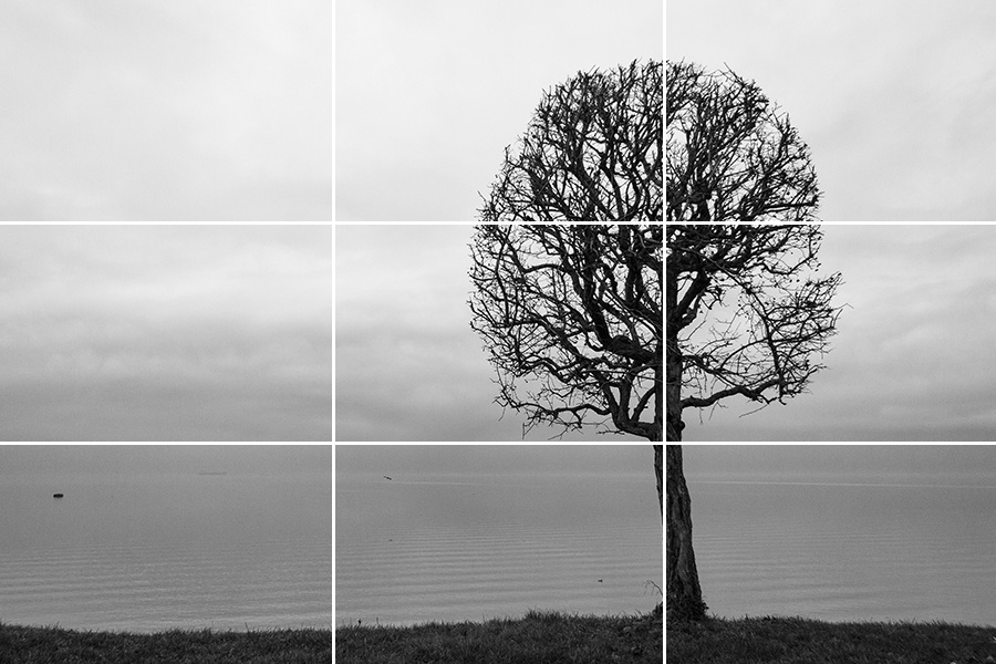 Источник: neshitoff.livejournal.com