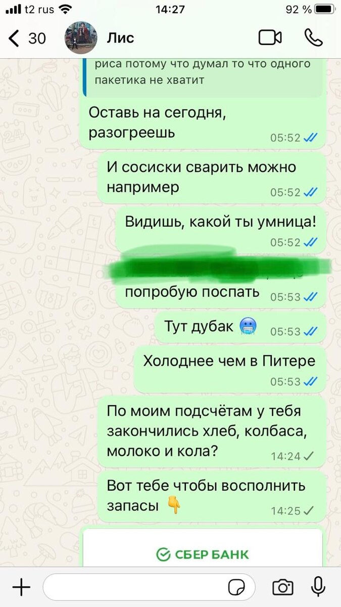 так выглядели наши ежевечерние переписки со старшим сыном + я требовала присылать мне фотоотчёт его завтраков, обедов и ужинов (мать-неврастеничка - горе в семье 🤣) 