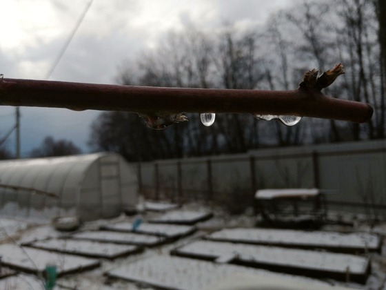 Фото: пресс-служба владимирского филиала Россельхозцентра